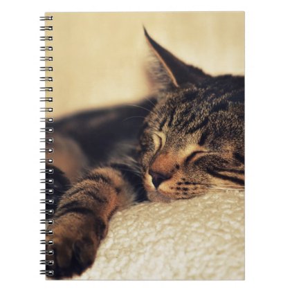 Kitten Pet Animal Notebook