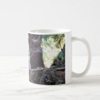 Kitten Photo Baby Cat ,White 325 ml  Classic Mug