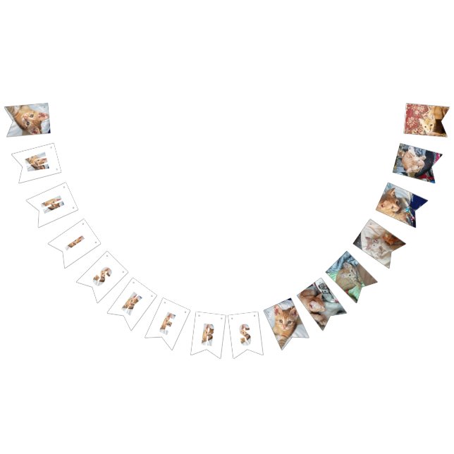 Kitten Photo  Bunting Flags (All)