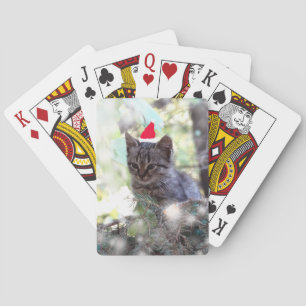 Kitten Photo Christmas time Classic Playing Cards