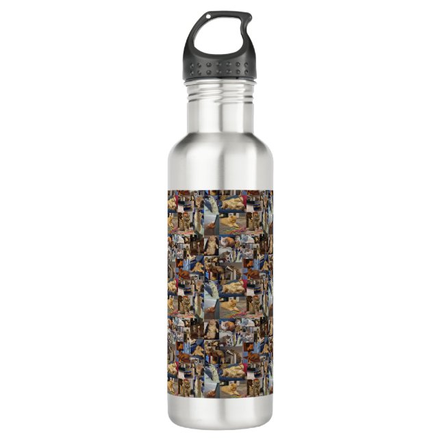 Kitten Photo Collage, 710 ml Water Bottle (Front)