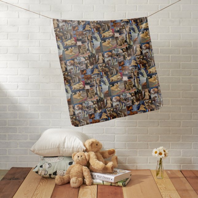 Kitten Photo Collage, Baby Blanket (In Situ)