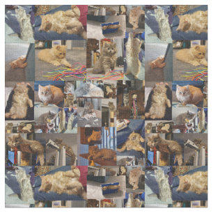 Kitten Photo Collage, Fabric