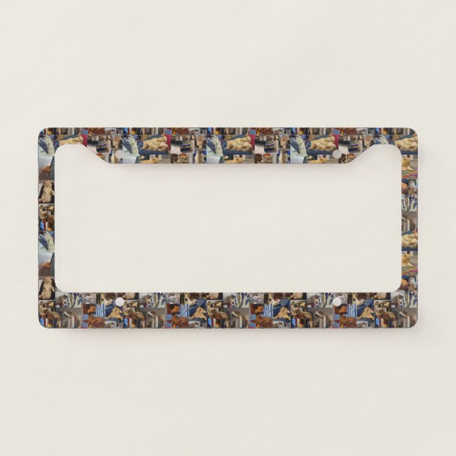 Kitten Photo Collage License Plate Frame (Front)