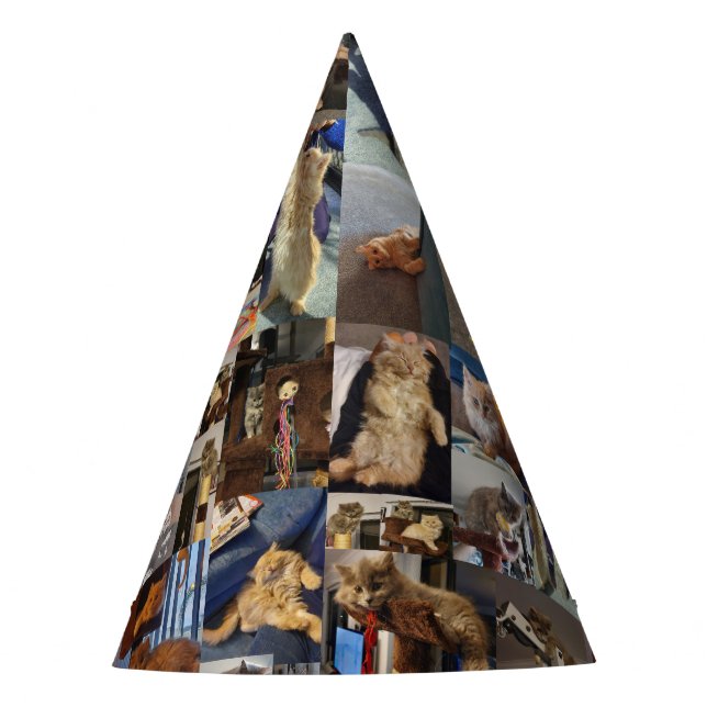 Kitten Photo Collage, Party Hats (Front)