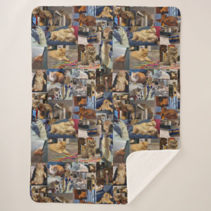 Kitten Photo Collage, Sherpa Blanket