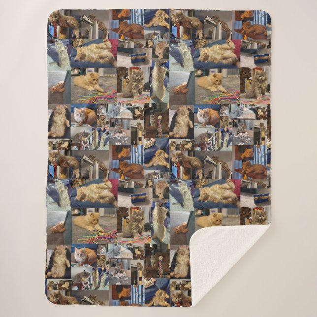 Kitten Photo Collage, Sherpa Blanket (Front)