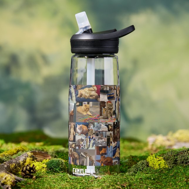 Kitten Photo Collage,  Water Bottle (Outdoor)