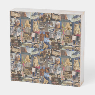 Kitten Photo Collage, Wood Photo Display Wooden Box Sign