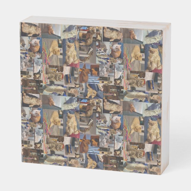 Kitten Photo Collage, Wood Photo Display Wooden Box Sign (Angled Vertical)