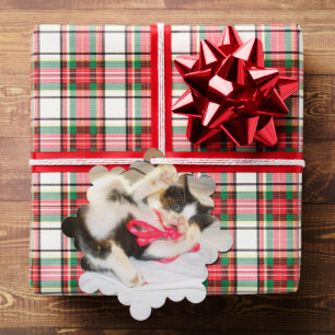 Kitten Photo Text , Tag, Snowflake, Customize Ornament Card