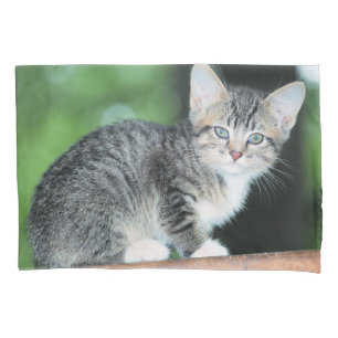 Kitten Pillow Case