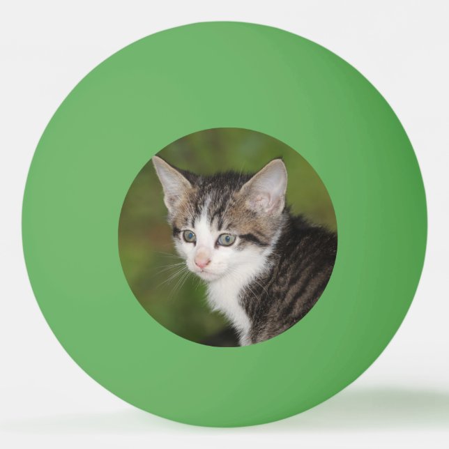 Kitten Ping Pong Ball (Front)