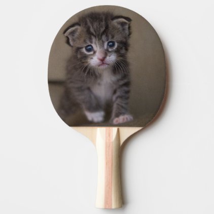 kitten` ping pong paddle