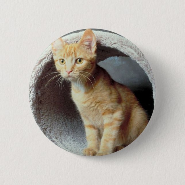 Kitten Play Tunnel Pinback Button (Front)