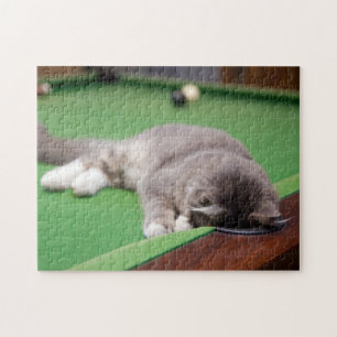 Kitten Playing Pool Jigsaw Puzzle