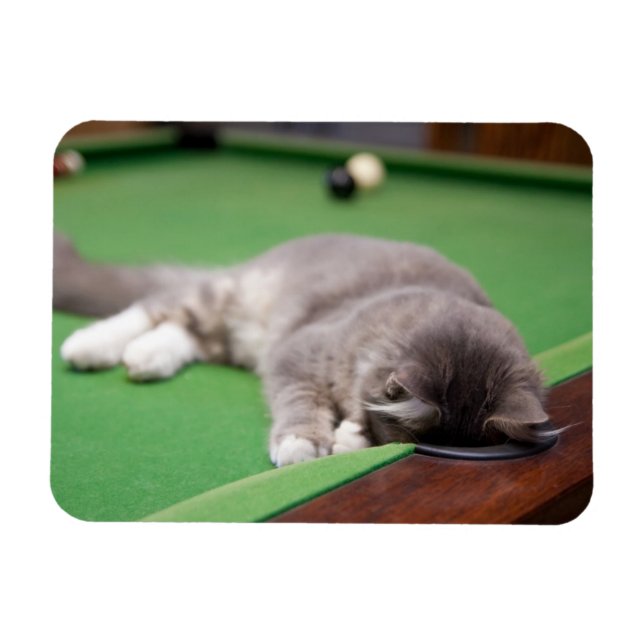 Kitten Playing Pool Magnet (Horizontal)