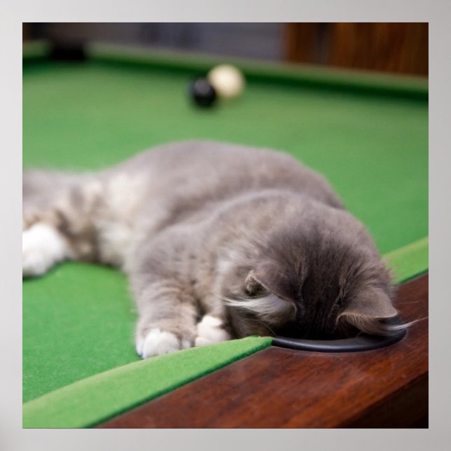 Kitten Playing Pool Poster (Front)
