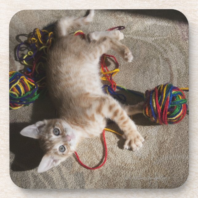 Kitten Playing With Yarn Drink Coaster (Front)