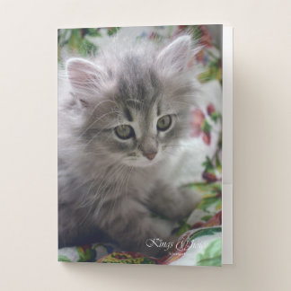 Kitten pocket folder