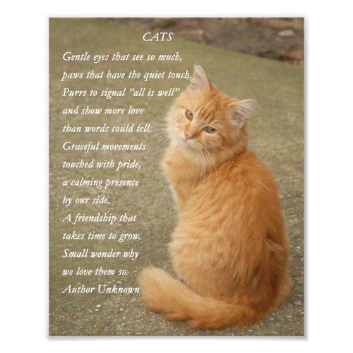 Kitten Poem Cute Orange Cat Photo Print
