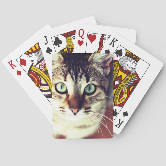Kitten Poker Cards (Back)