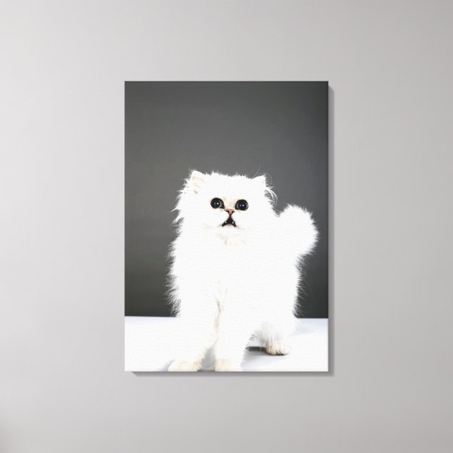 Kitten Portrait Canvas Print (Front)
