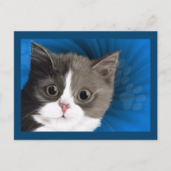 Kitten Post Card by chandraws at Zazzle