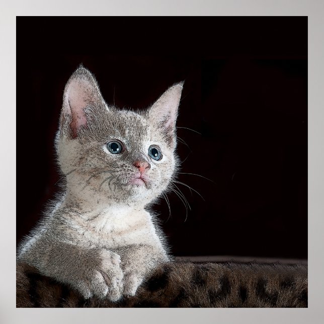 Kitten Poster (Front)