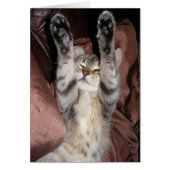 Kitten Power Card (Front)