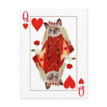 Kitten Queen of Hearts Postcard