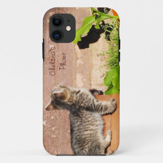 Kitten Reading Wall iPhone 5 Case