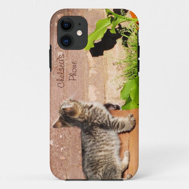 Kitten Reading Wall iPhone 5 Case (Back)