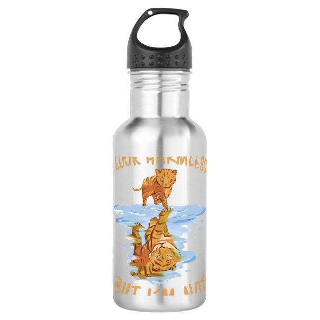 Kitten Reflection Image Tiger Cats Gift Stainless Steel Water Bottle (Front)