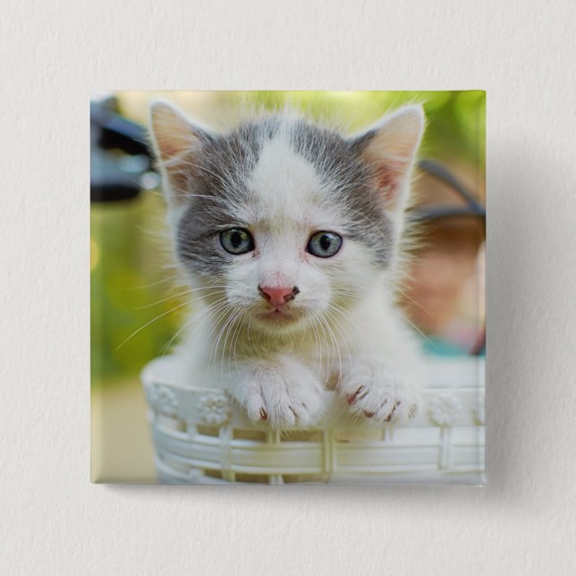 Kitten Rides A Bike Pinback Button (Front)