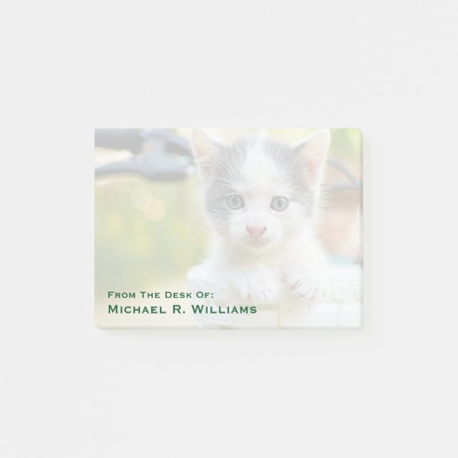 Kitten Rides A Bike Post-it Notes (Front)