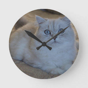 kitten round clock