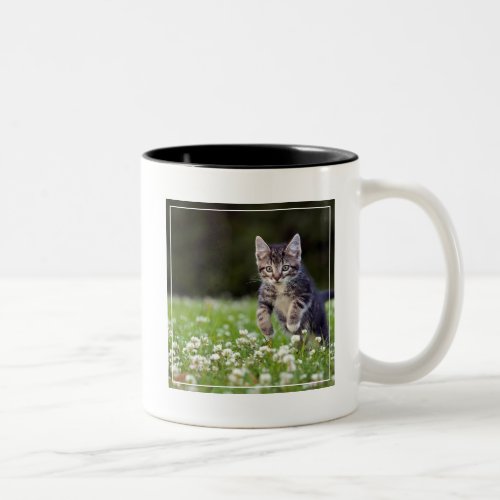Kitten Running Through Clover Two_Tone Coffee Mug