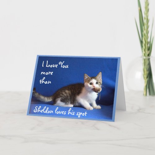 Kitten Says Be My Valentine  Card