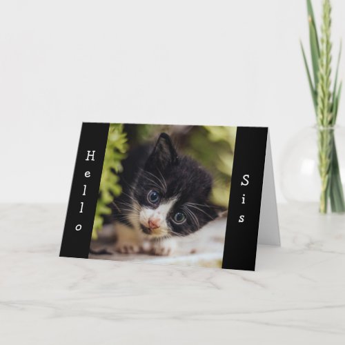 KITTEN SAYS HAPPY BIRTHDAY MEOW CARD