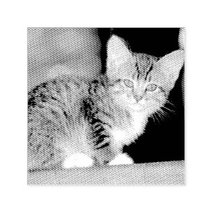 Kitten Self-inking Stamp