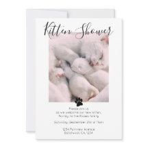 Kitten Shower Cute Personalized Cat Adoption