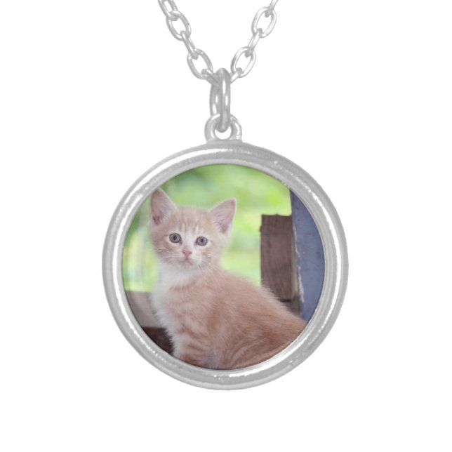 Kitten  silver plated necklace (Front)