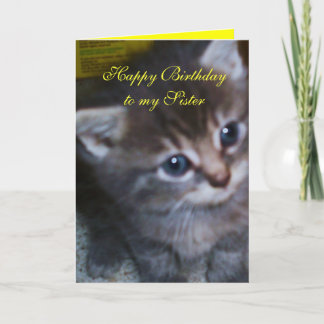 KITTEN, SISTER BIRTHDAY CARD