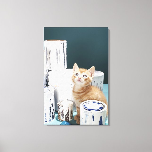 Kitten sitting amongst paint tins canvas print (Front)