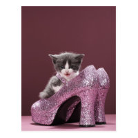 Kitten sitting in glitter shoes postcard