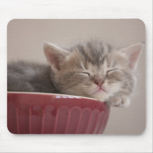 Kitten Sleeping In A Bowl Mouse Pad