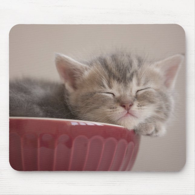 Kitten Sleeping In A Bowl Mouse Pad (Front)