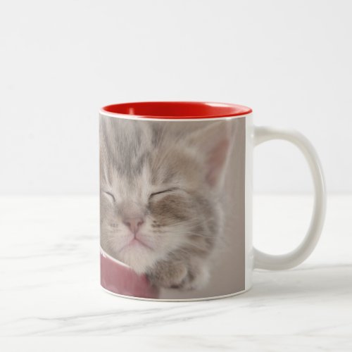 Kitten Sleeping In A Bowl Two_Tone Coffee Mug