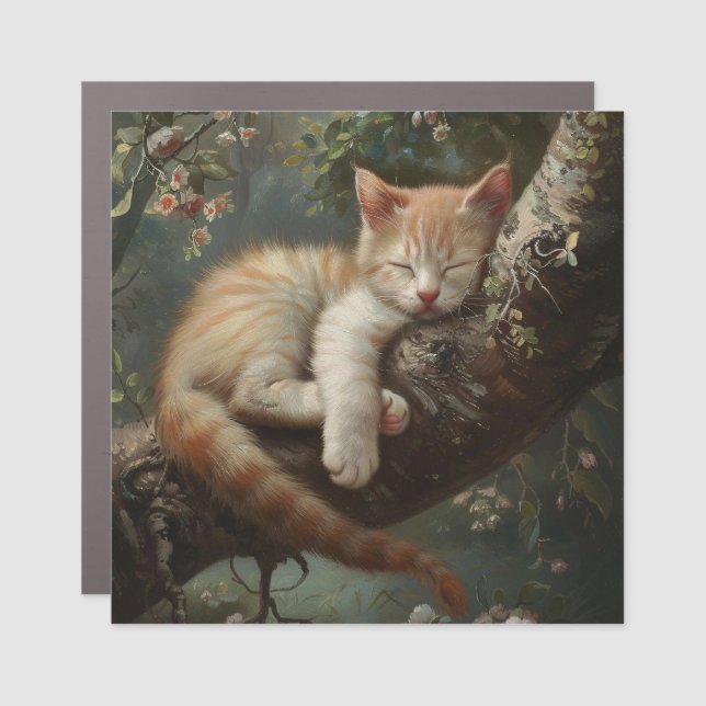 Kitten Sleeping in a Tree Vintage Car Magnet (Front)